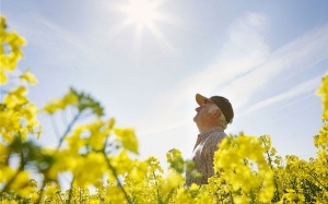 Phơi nắng để phòng bệnh đa xơ cứng!