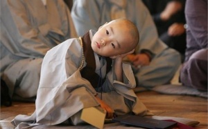 Những nguyên tắc nuôi dạy con nên Người