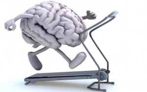 8 việc cần làm vào buổi sáng để não khỏe