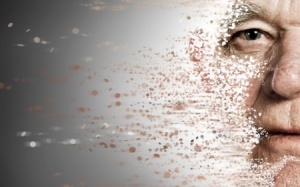 Mỡ trong não bệnh nhân Alzheimer là dầu… olive