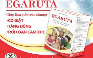 Egaruta - Hướng đi mới cho bệnh nhân động kinh