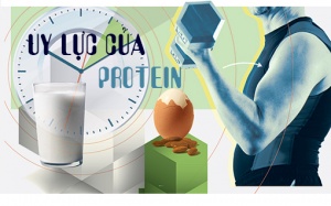 8 uy lực của protein đối với cơ thể sống