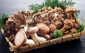 Lợi ích sức khỏe tuyệt vời từ các loại nấm
