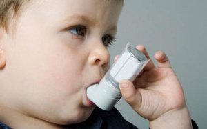 6 loại tinh dầu đánh bay bệnh hen suyễn