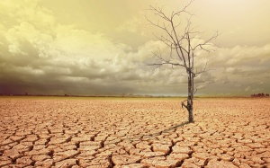 Bị khô âm đạo đừng dùng gel bôi trơn!