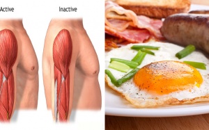 Cảnh báo: Không nạp đủ protein sẽ dẫn đến teo cơ