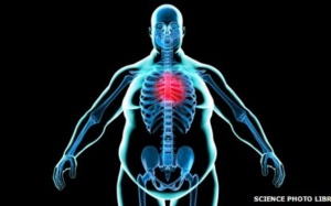 Trái tim không 'ưa' người mập!