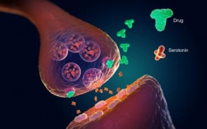 Hội chứng serotonin là gì?