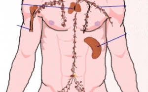 Cách tự nhiên làm sạch hệ bạch huyết