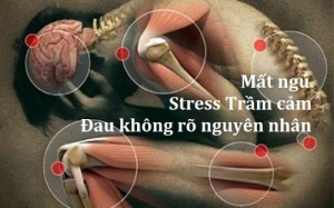 Bỗng dưng đau thắt - bệnh lý nguy hiểm của phụ nữ mãn kinh