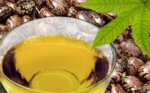 Dầu thầu dầu: Đẹp da, tóc mọc, lông mày đậm