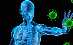 Tăng cường toàn diện hệ miễn dịch chỉ trong 7 ngày