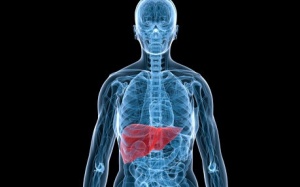 Ba công thức thải độc hiệu quả cho gan bị tổn thương