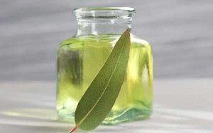 Công dụng tuyệt vời của dầu khuynh diệp