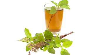 Trà xanh húng quế: Vừa ngon vừa ngừa được ung thư