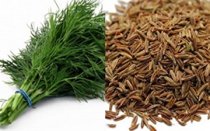 Hạt thì là – loại thuốc quý trong nhà