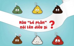 Màu sắc của 'bé phân' nói gì về sức khỏe của bạn?