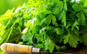 Rau mùi tây: Giúp thải độc, chống viêm, tốt cho xương