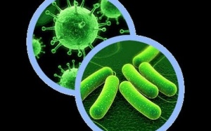 Những lầm tưởng nghiêm trọng về vi khuẩn kháng thuốc