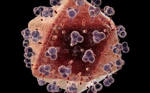 Dùng kháng thể “bắt bệnh” Alzheimer