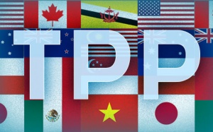 Hội nhập TPP: Doanh nghiệp TPCN Việt cần làm gì để nâng cao cạnh tranh?