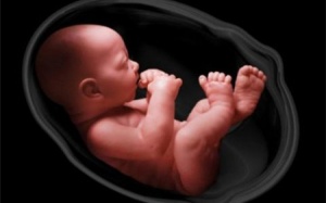 Phát hiện  thai nhi bị  bệnh hiếm gặp