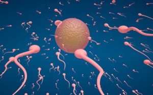 Làm thế nào để biết tinh trùng khỏe hay yếu?