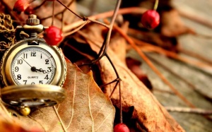 Tử vi 12 cung hoàng đạo thứ năm (26/11/2015)