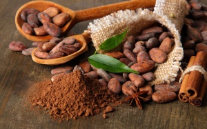 Liều an toàn của flavanols từ ca cao trong TPCN?