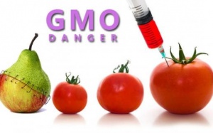 Bạn có biết những thực phẩm nào đã bị biến đổi gene?