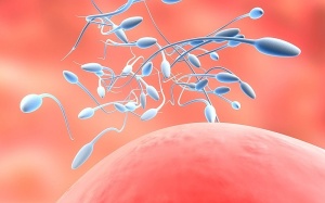 Tinh trùng bị đứt gãy ADN: Dễ vô sinh, con dị tật
