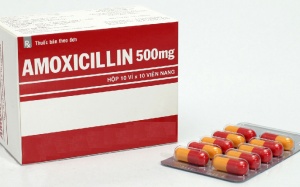 Khẩn cấp thu hồi thuốc kháng sinh giả Amoxycilin 500mg