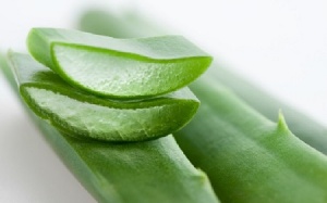 Chữa ho, cảm lạnh, viêm khớp bằng nha đam