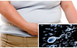 Tinh trùng của cha quyết định cân nặng của con