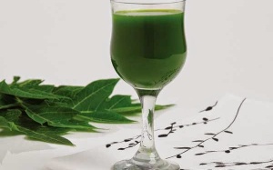 Tác dụng dược lý của lá đu đủ