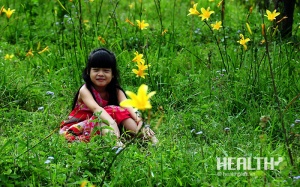 Mê mẩn trước vẻ đẹp của loài hoa Đà Lạt có khả năng trị bệnh