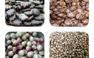 Trường thọ, khỏe mạnh nhờ hạt gấc, hạt cau