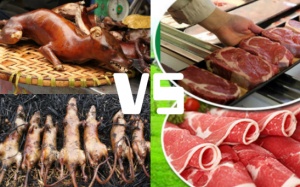 Thịt mèo, thịt chuột không lo… hội nhập