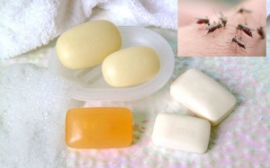 Video: Tạm biệt nốt muỗi đốt chỉ với cục xà bông