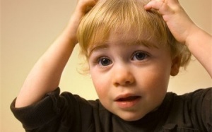 Hạ gục nhanh, tiêu diệt gọn chấy rận