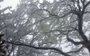 Bắc Bộ rét đậm, vùng núi có băng tuyết