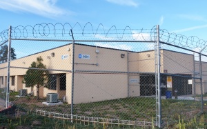 Dùng “vũ khí hạt nhân” trị ung thư