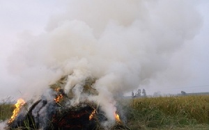 Khói rơm rạ - nguyên nhân dẫn đến bệnh hô hấp