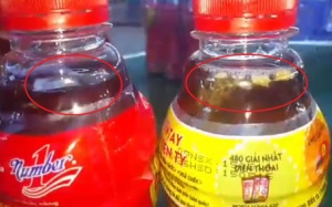 Chúng tôi dại chứ không ngu!