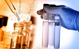 Top 10 thành tựu khoa học nổi bật trong lĩnh vực TPCN năm 2015