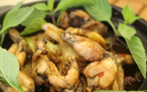 Ếch xông hơi: Thơm lừng và ngon ngọt khó quên