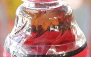 Bộ Y tế nói gì về khả năng thanh tra để 'lọt lưới' Tân Hiệp Phát?