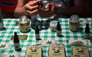 Colombia hợp pháp hóa sử dụng cần sa trong y tế