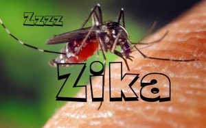 Mẹ nhiễm virus Zika, con dễ nhỏ não