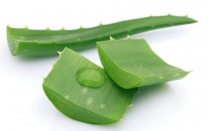 Điều trị nhiễm trùng thận bằng trà thảo dược